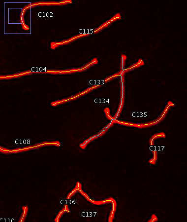 Slope detection success.png