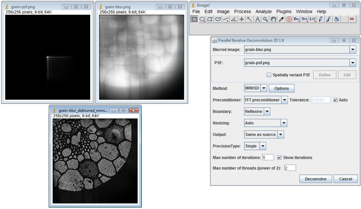 ParallelIterativeDeconvolution2DSpatiallyInvariantExampleResult.jpg