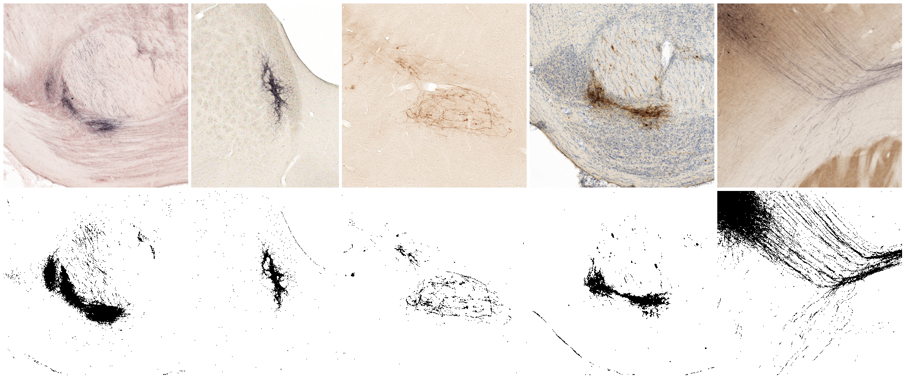 Staining combinations