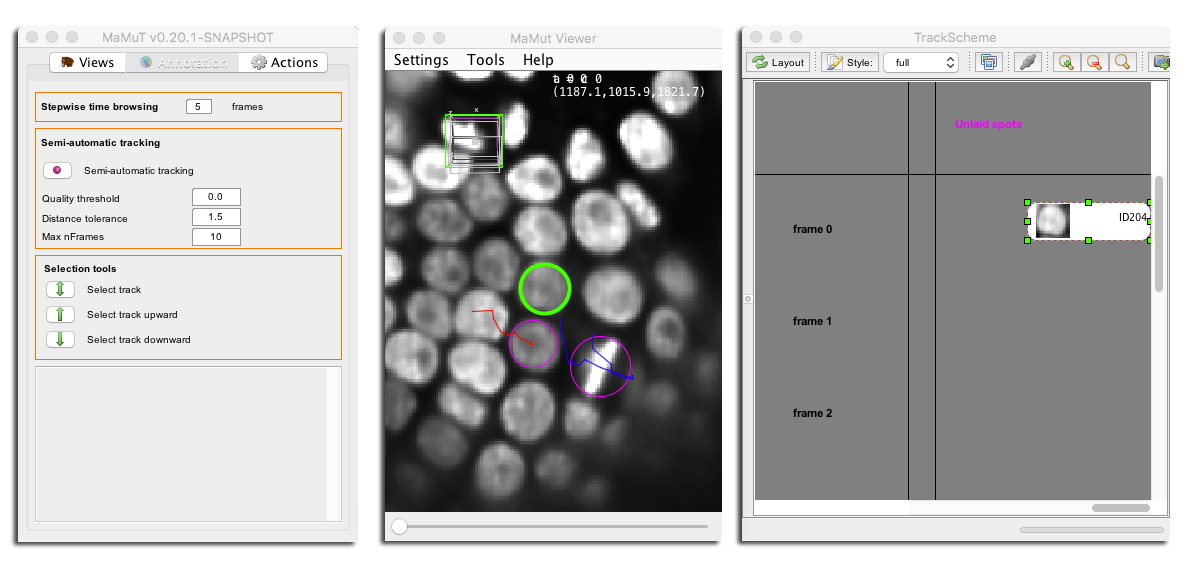 Bdv-MaMuT SemiAutoTracking 1.png