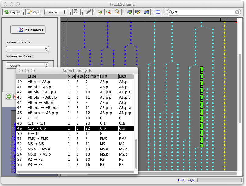 TrackMateBranchAnalysis.png