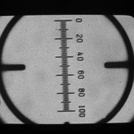 Image of a stage micrometer