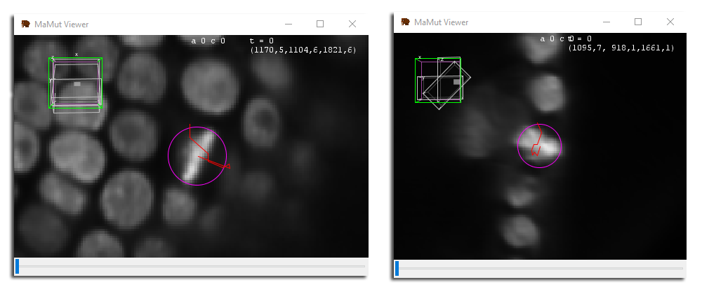 Bdv-MaMuT DesiredTracking 1.PNG