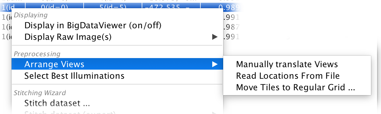 BigStitcher Arrange Views001.png