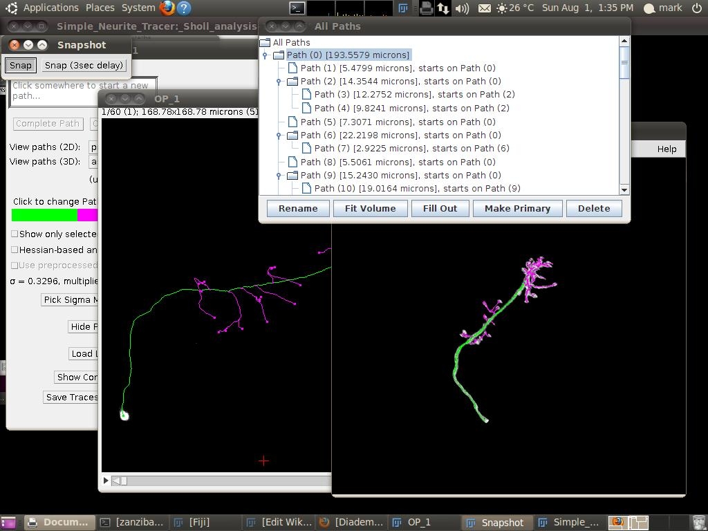 Simple Neurite Tracer- Sholl analysis-2.jpg