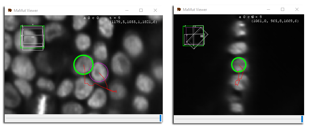 Bdv-MaMuT DesiredTracking 2.PNG