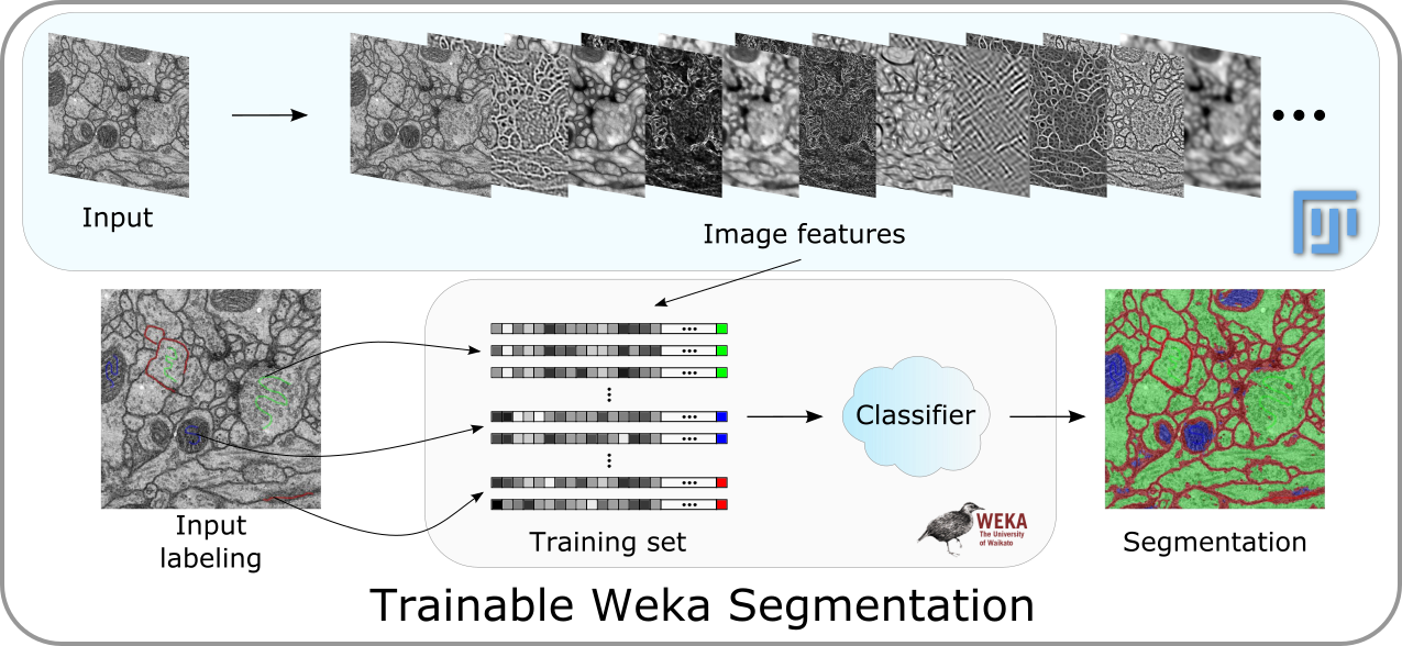 Trainable Weka Segmentation pipeline overview.