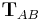 \mathbf{T}_{AB}