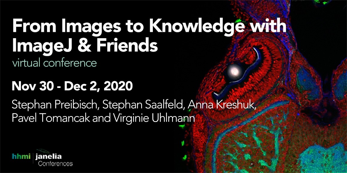 From Images to Knowledge with ImageJ & Friends