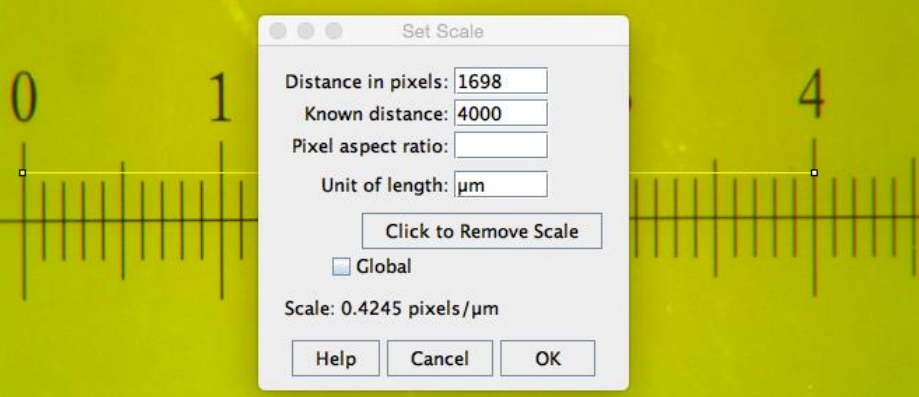 How to measure the pixel size. Taken from the [documentation](https://github.com/jschier/IsletJ/blob/-/pdf/IsletJ_Guide_2.pdf) of the original plugin version.