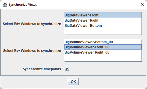 /media/plugins/bdv/playground/bdvpg-sync-views.png