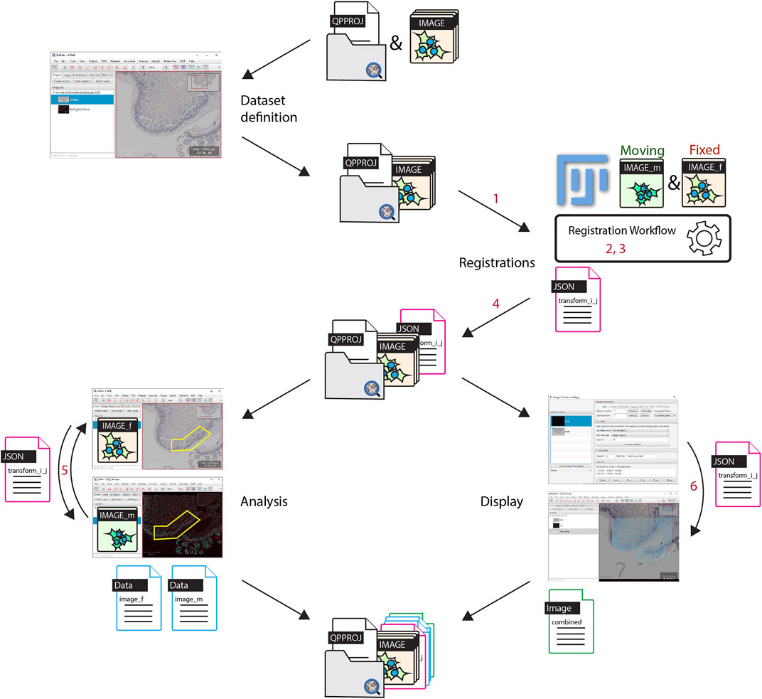 /media/plugins/bdv/warpy/warpy-general-workflow.jpg