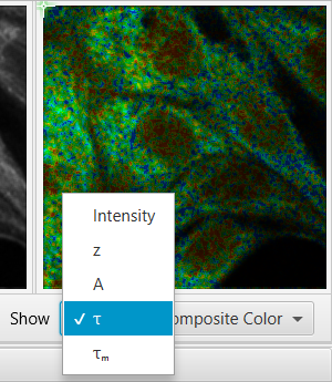 fit-dataset-preview-results-show