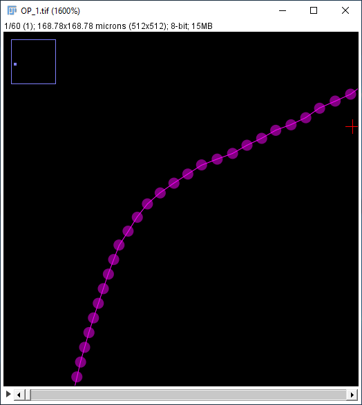 Draw diameters - disabled