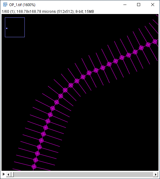 Draw diameters - enabled