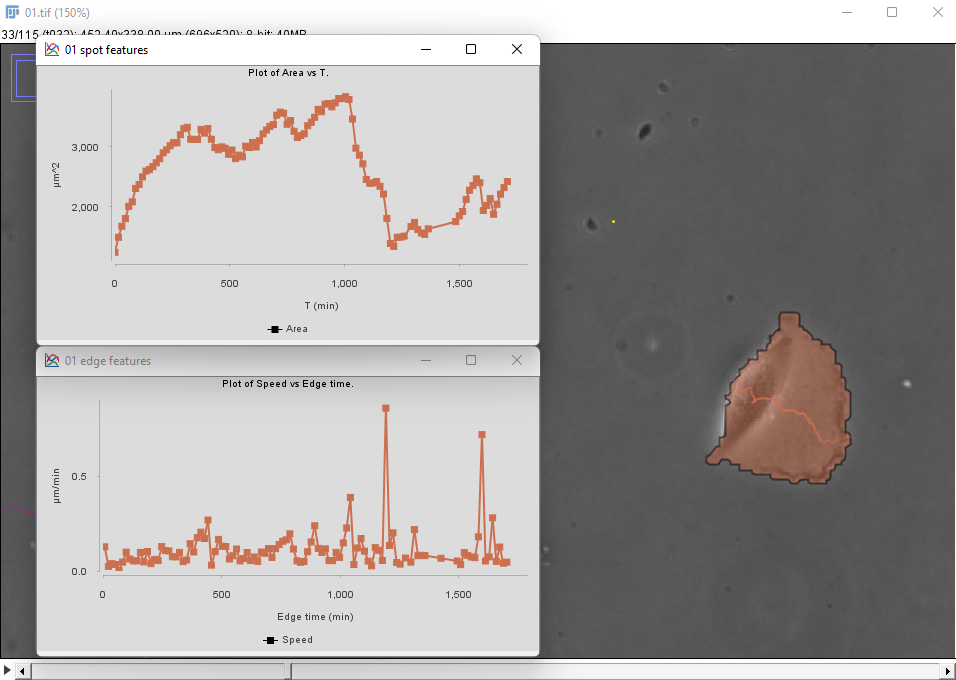 /media/plugins/trackmate/detectors/cellpose/trackmate-cellpose-tutorial-b-09