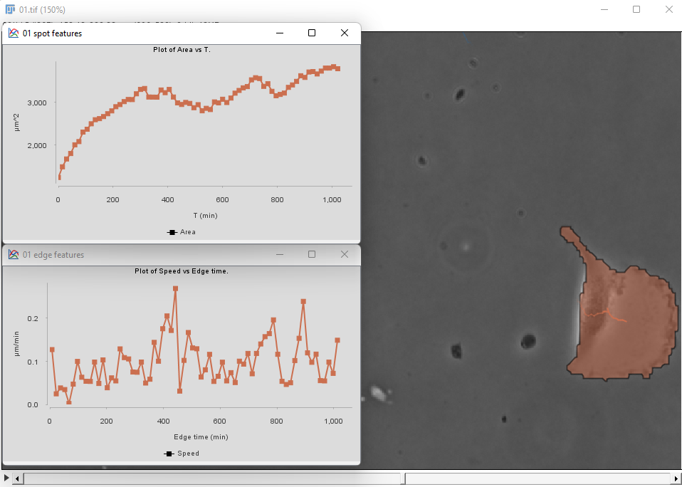 /media/plugins/trackmate/detectors/cellpose/trackmate-cellpose-tutorial-b-11
