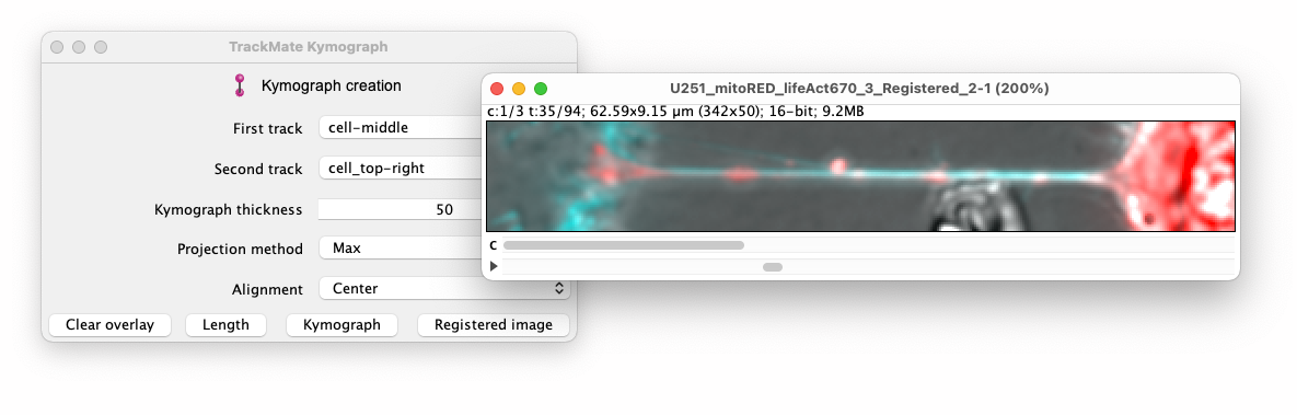 /media/plugins/trackmate/extensions/trackmate-kymograph-23.png