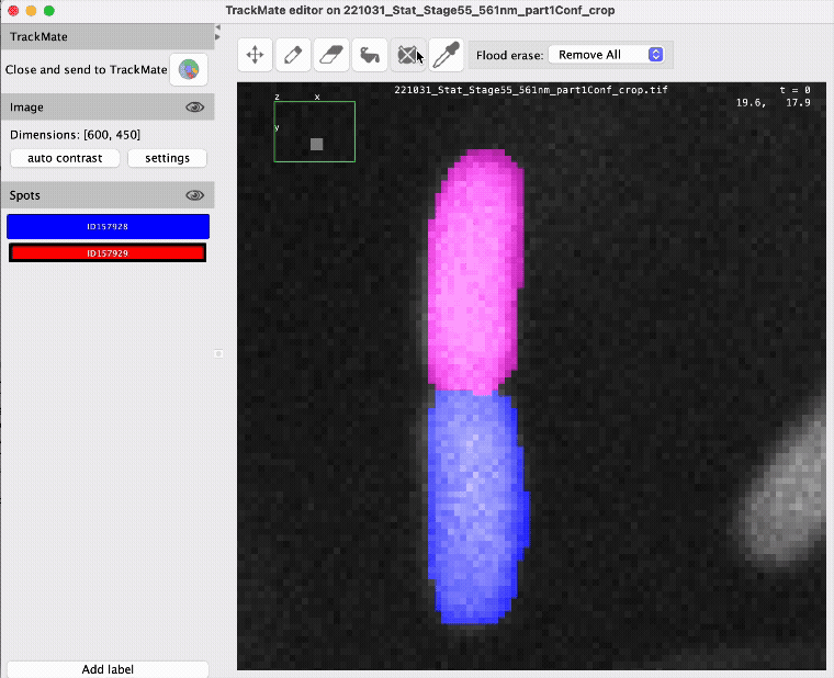 /media/plugins/trackmate/spot-editor/TrackMate-Editor-FloodErase-RemoveAll.gif