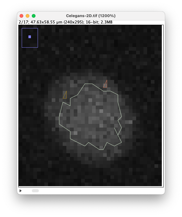 /media/plugins/trackmate/spot-editor/trackmate-spot-editor-tuto-05.png