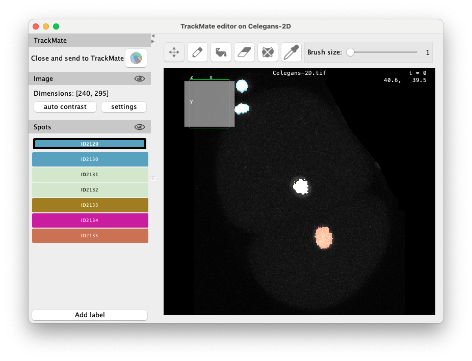 /media/plugins/trackmate/spot-editor/trackmate-spot-editor-tuto-06.png