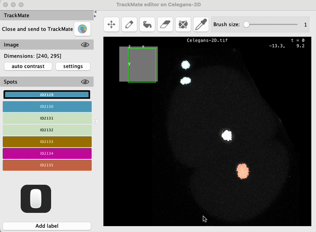 /media/plugins/trackmate/spot-editor/trackmate-spot-editor-tuto-07.gif