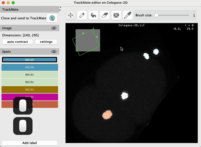 /media/plugins/trackmate/spot-editor/trackmate-spot-editor-tuto-08.gif