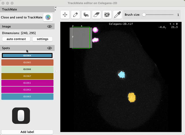 /media/plugins/trackmate/spot-editor/trackmate-spot-editor-tuto-09.gif