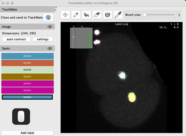 /media/plugins/trackmate/spot-editor/trackmate-spot-editor-tuto-10.gif