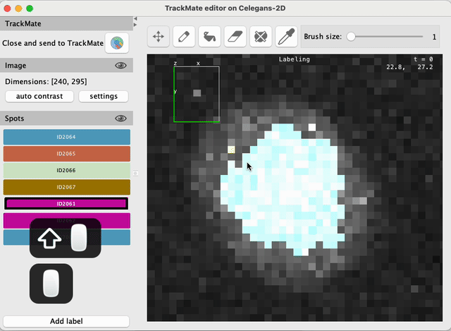 /media/plugins/trackmate/spot-editor/trackmate-spot-editor-tuto-11.gif