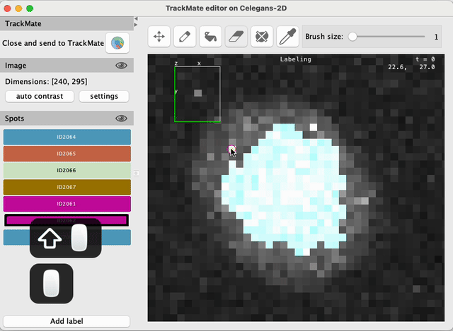 /media/plugins/trackmate/spot-editor/trackmate-spot-editor-tuto-12.gif