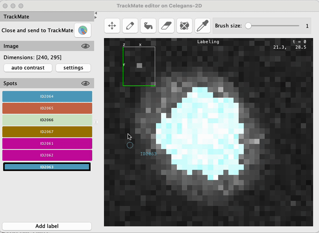/media/plugins/trackmate/spot-editor/trackmate-spot-editor-tuto-13.gif