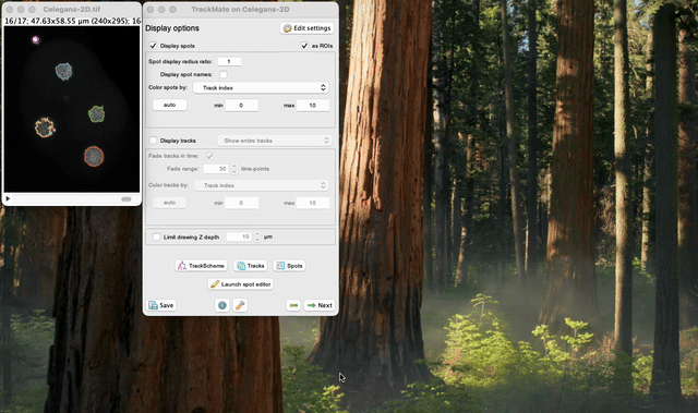 /media/plugins/trackmate/spot-editor/trackmate-spot-editor-tuto-19.gif