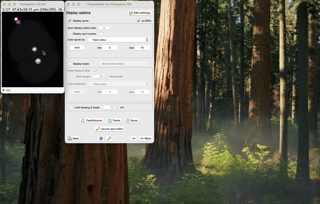 /media/plugins/trackmate/spot-editor/trackmate-spot-editor-tuto-20.gif