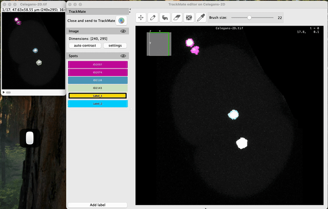 /media/plugins/trackmate/spot-editor/trackmate-spot-editor-tuto-22.gif