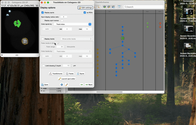 /media/plugins/trackmate/spot-editor/trackmate-spot-editor-tuto-23.gif