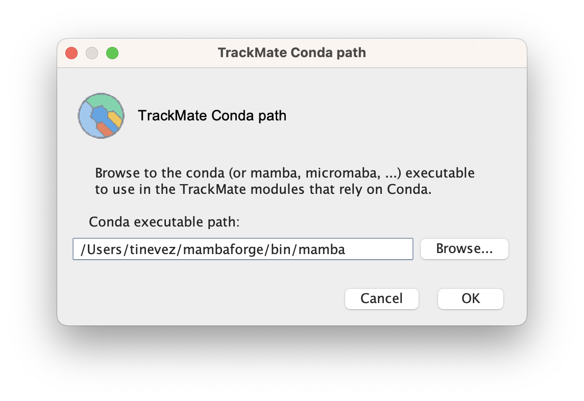 /media/plugins/trackmate/trackers/trackastra/trackmate-trackastra-01